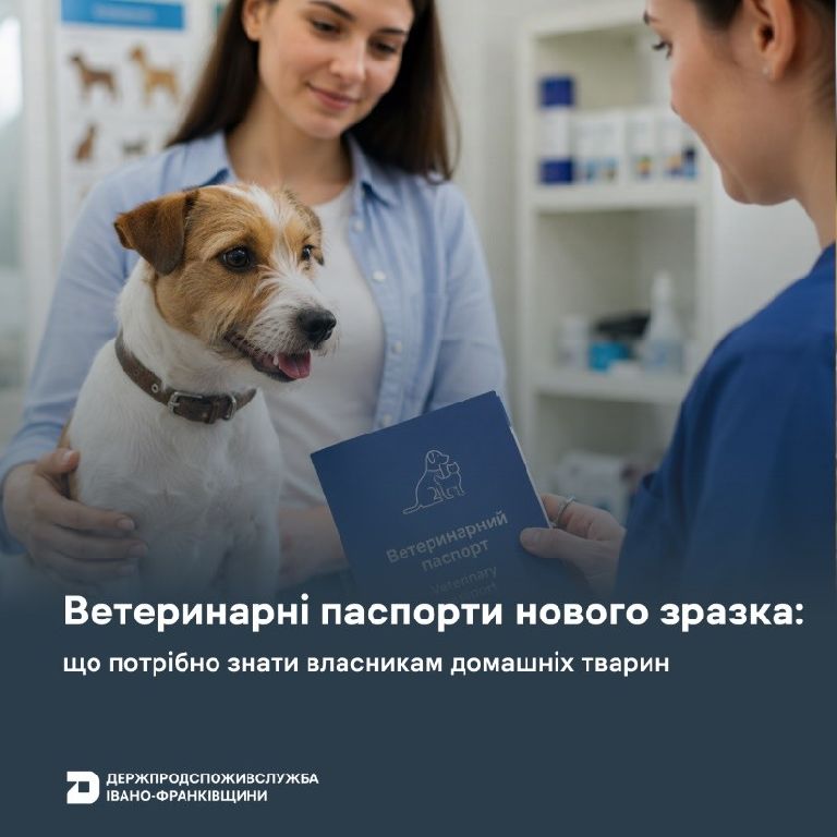 Держпродспоживслужба видає ветеринарні паспорти нового зразка: що потрібно знати власникам домашніх тварин