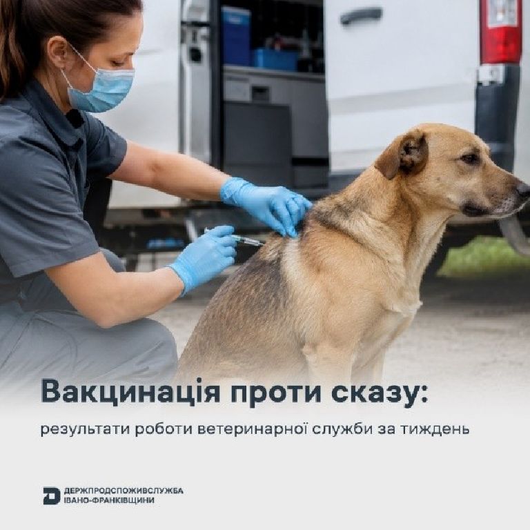 За тиждень на Прикарпатті вакцинували понад 6 300 тварин проти сказу